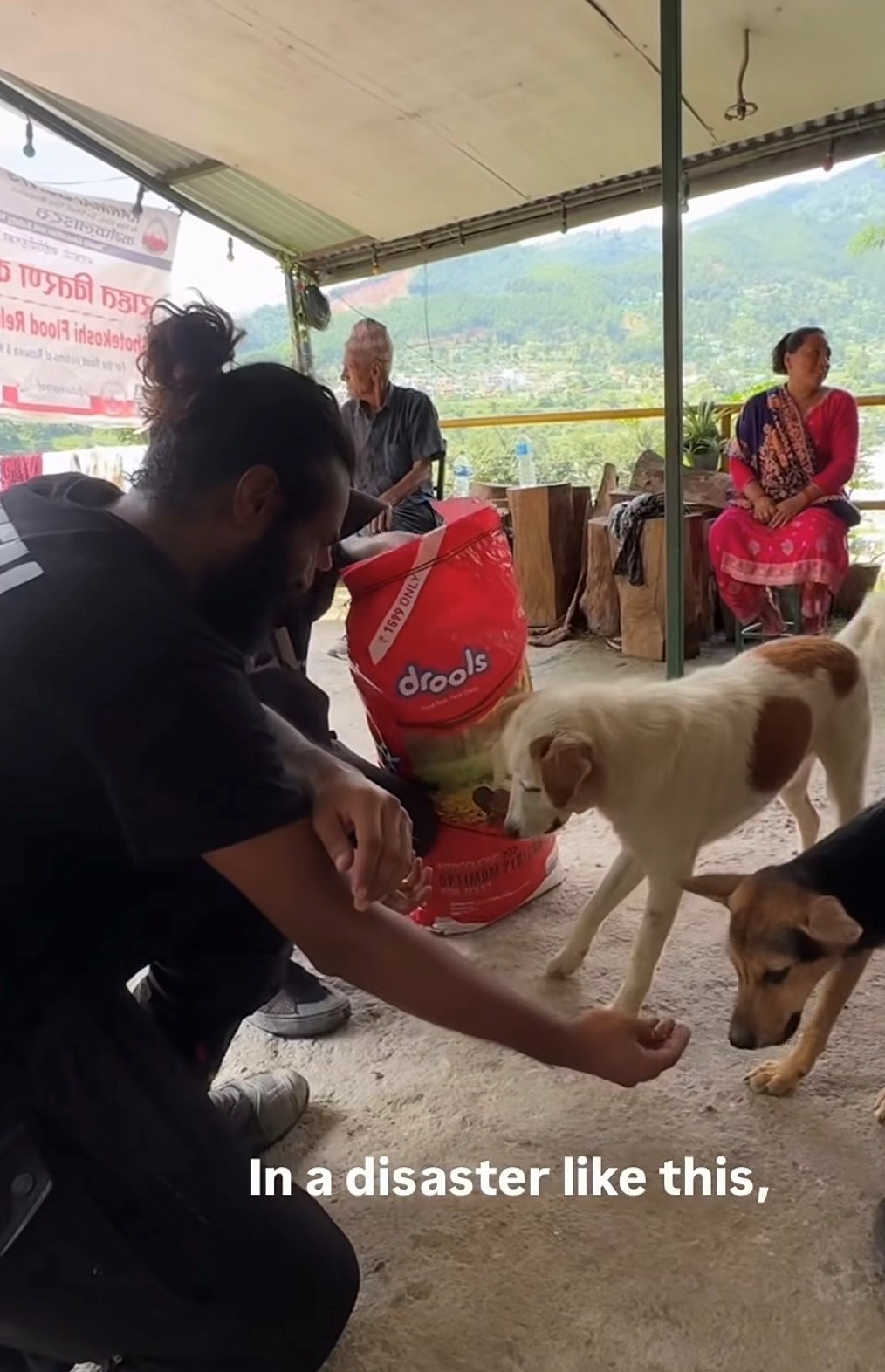 Humanity Himalaya volunteers helping animals affected by disaster